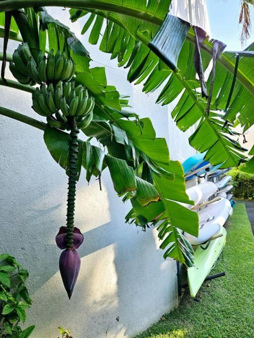 Seaside 3 Suites Penthouse With Pool Gym & Bbq Terrace Cap Malheureux Ngoại thất bức ảnh
