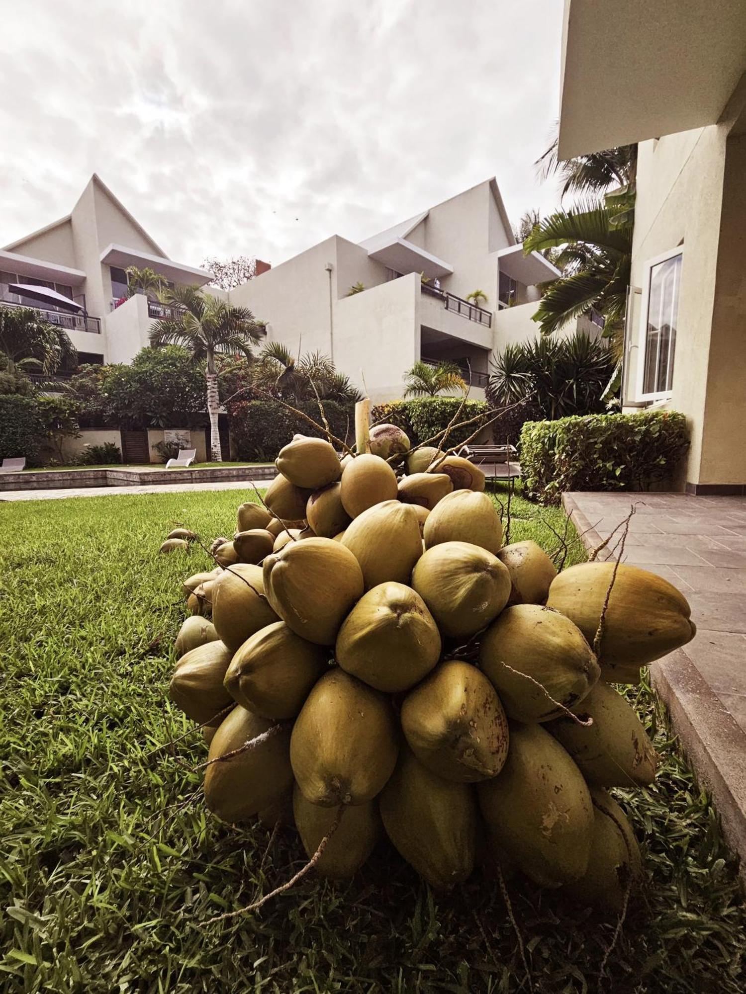Seaside 3 Suites Penthouse With Pool Gym & Bbq Terrace Cap Malheureux Ngoại thất bức ảnh
